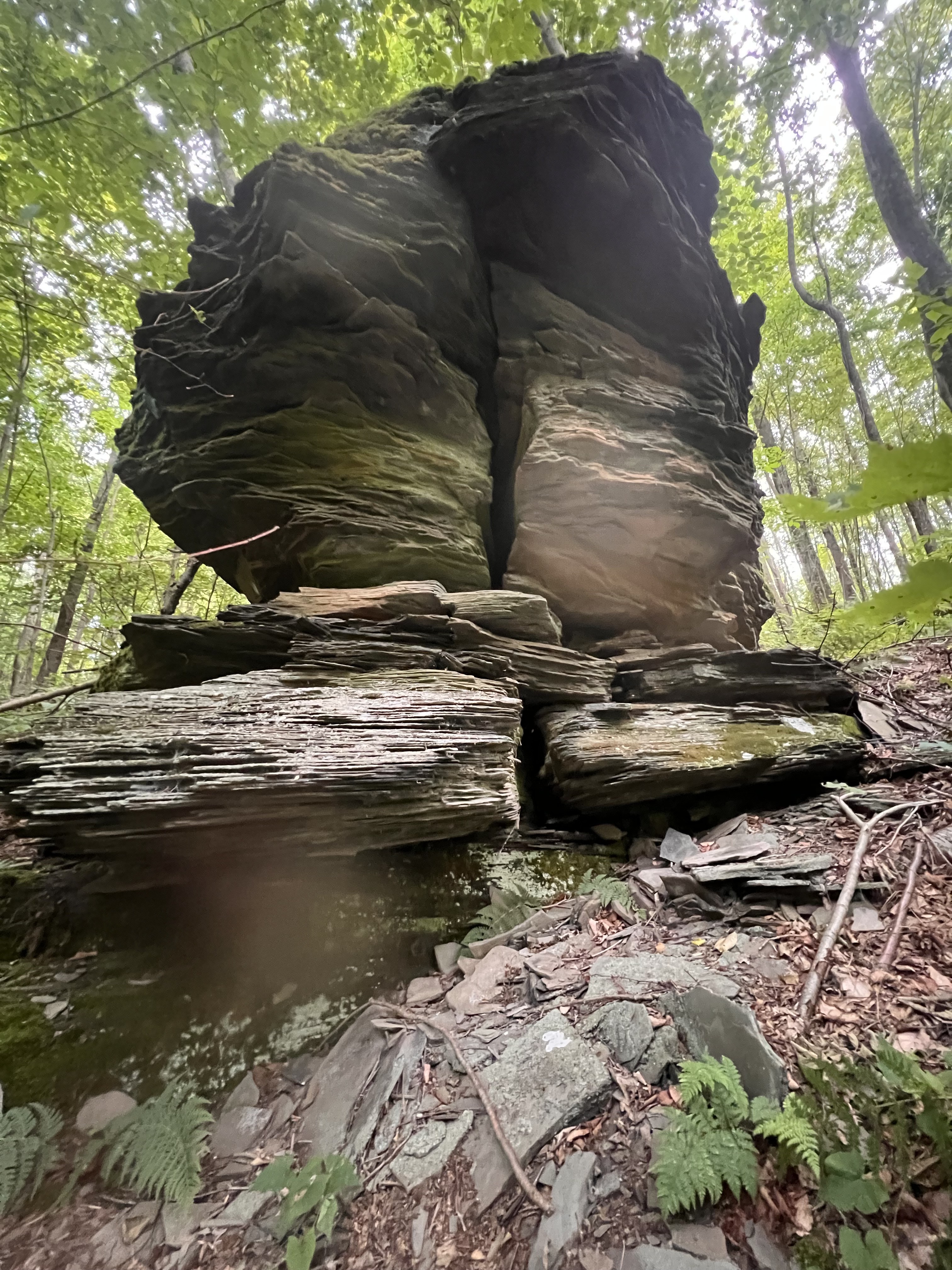 A rock formation in the woods